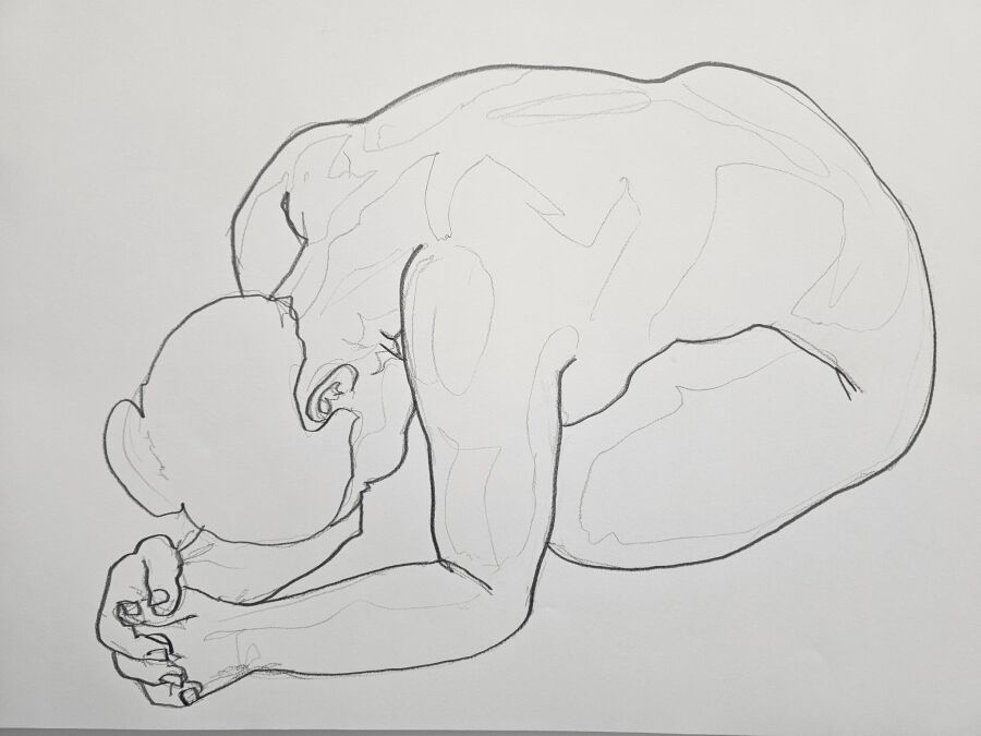 Pencil contour drawing of a seated nude figure curled forward with the head lowered onto folded arms.