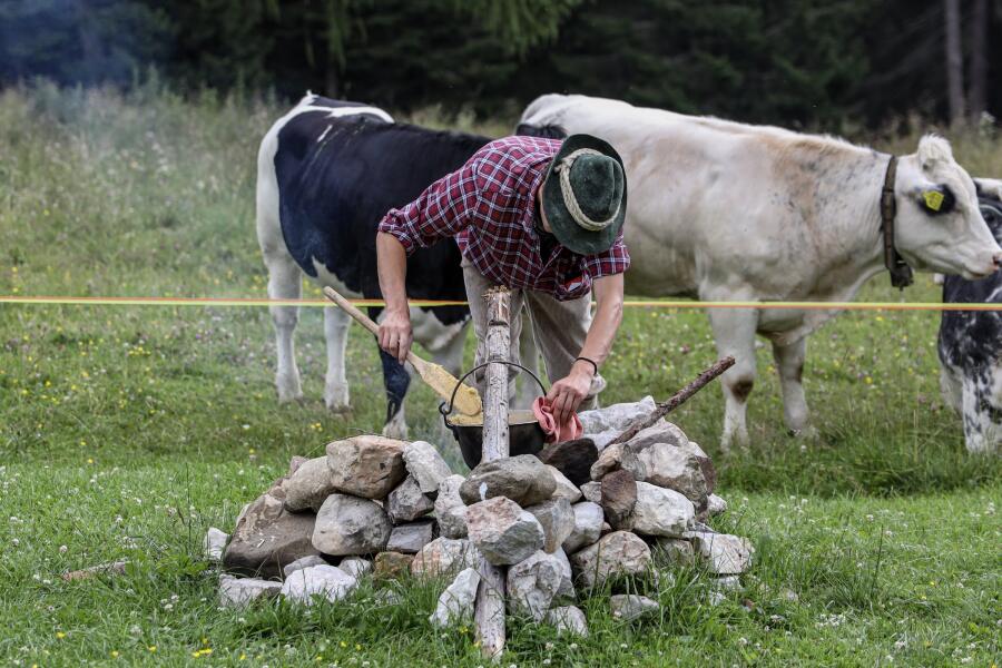 A man crouching to light a fire in a ring of stones in an alpine pasture, with cattle grazing behind him.