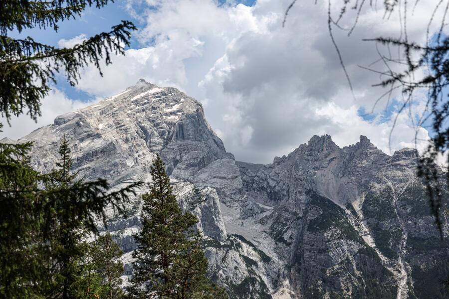 A bright limestone face and cloud seen through the dark branches of a larch.
