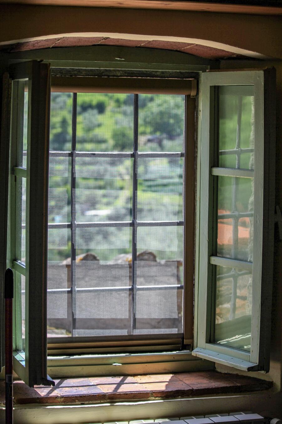 A tall green shuttered window standing open onto a wooded hillside.