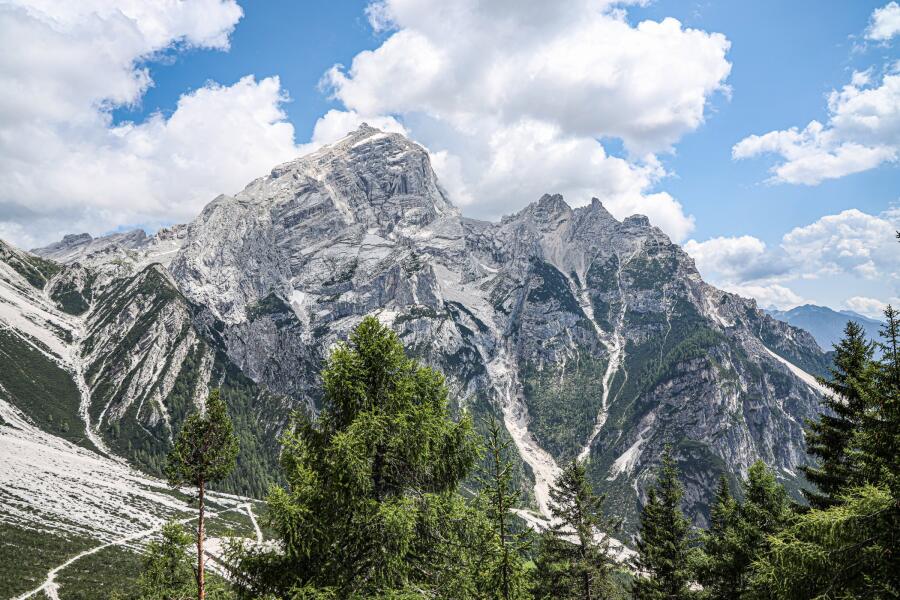 A snow streaked massif rising behind a stand of dark conifers on a steep slope.