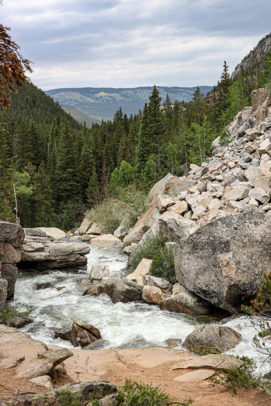 A mountain stream breaking white over large boulders in a narrow wooded gorge.